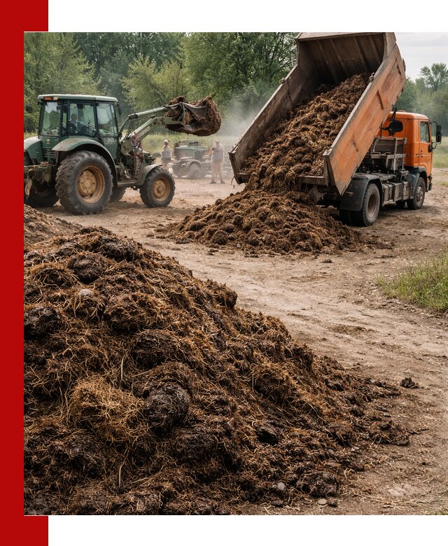 Доставка навоза самосвалами в Ломоносове для сельхозпотребностей